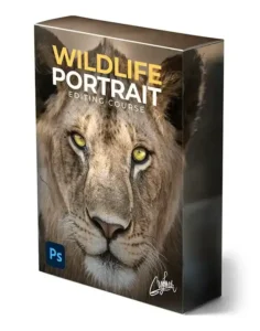 Zenz Courses – Wildlife Portrait Editing Course
