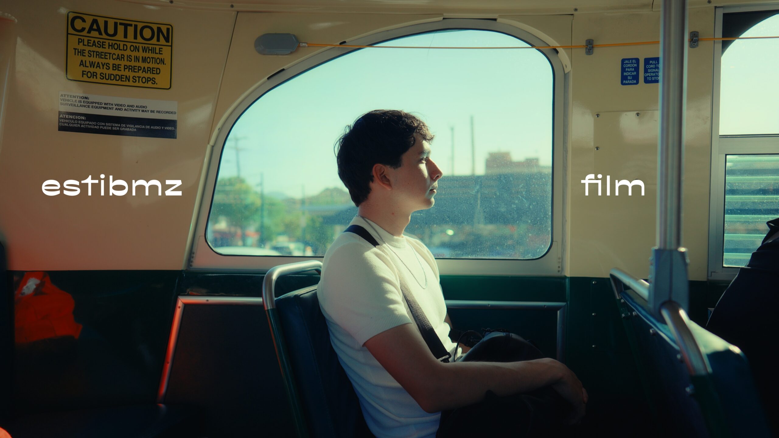 estibmzFilm Davinci Powergrade + Lut