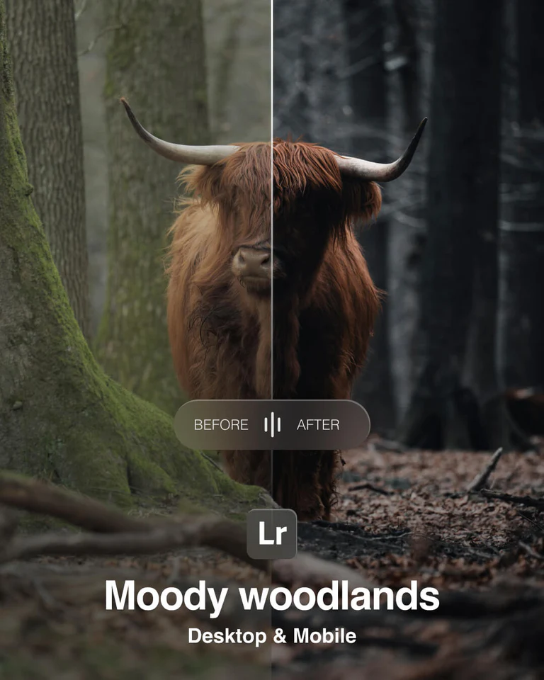 amarmuric – Moody Woodlands – Lightroom Preset Pack
