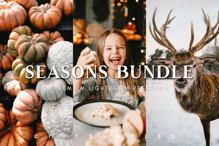 CityTurtles – THE SEASONS BUNDLE