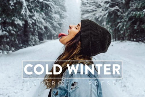 10 COLD WINTER Lightroom Mobile and Desktop Presets