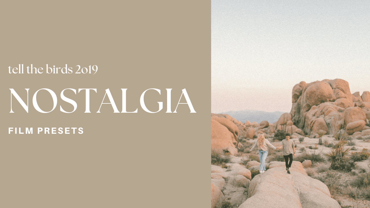 Tell The Birds – Tell The Birds Presets – Nostalgia