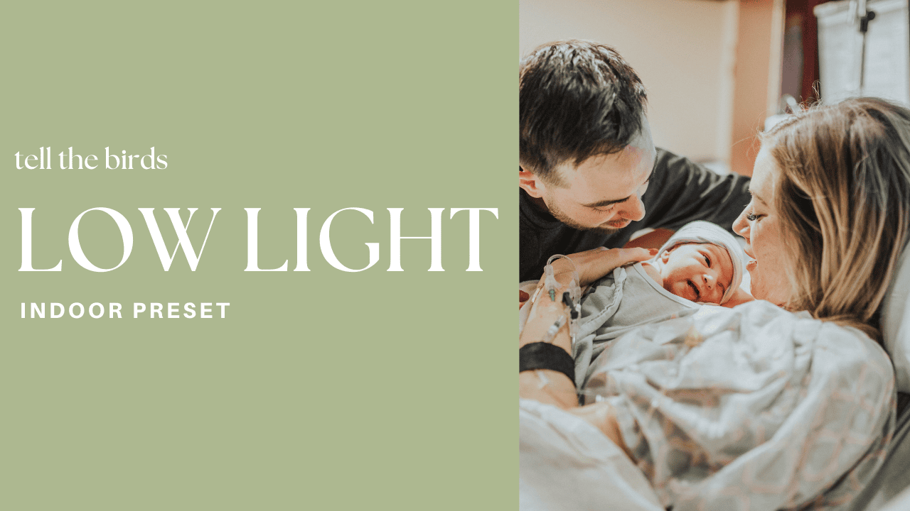 Tell The Birds – Tell The Birds Presets – Low Light