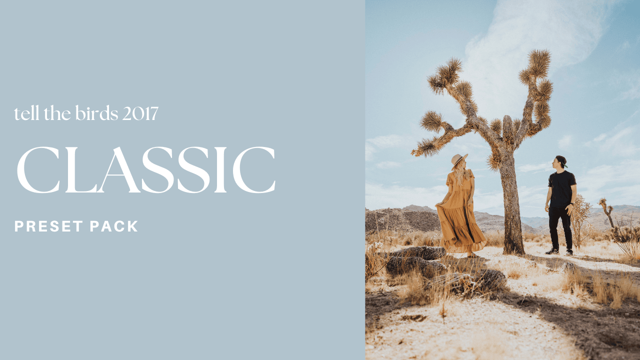 Tell The Birds – Tell The Birds Presets – Classic Pack