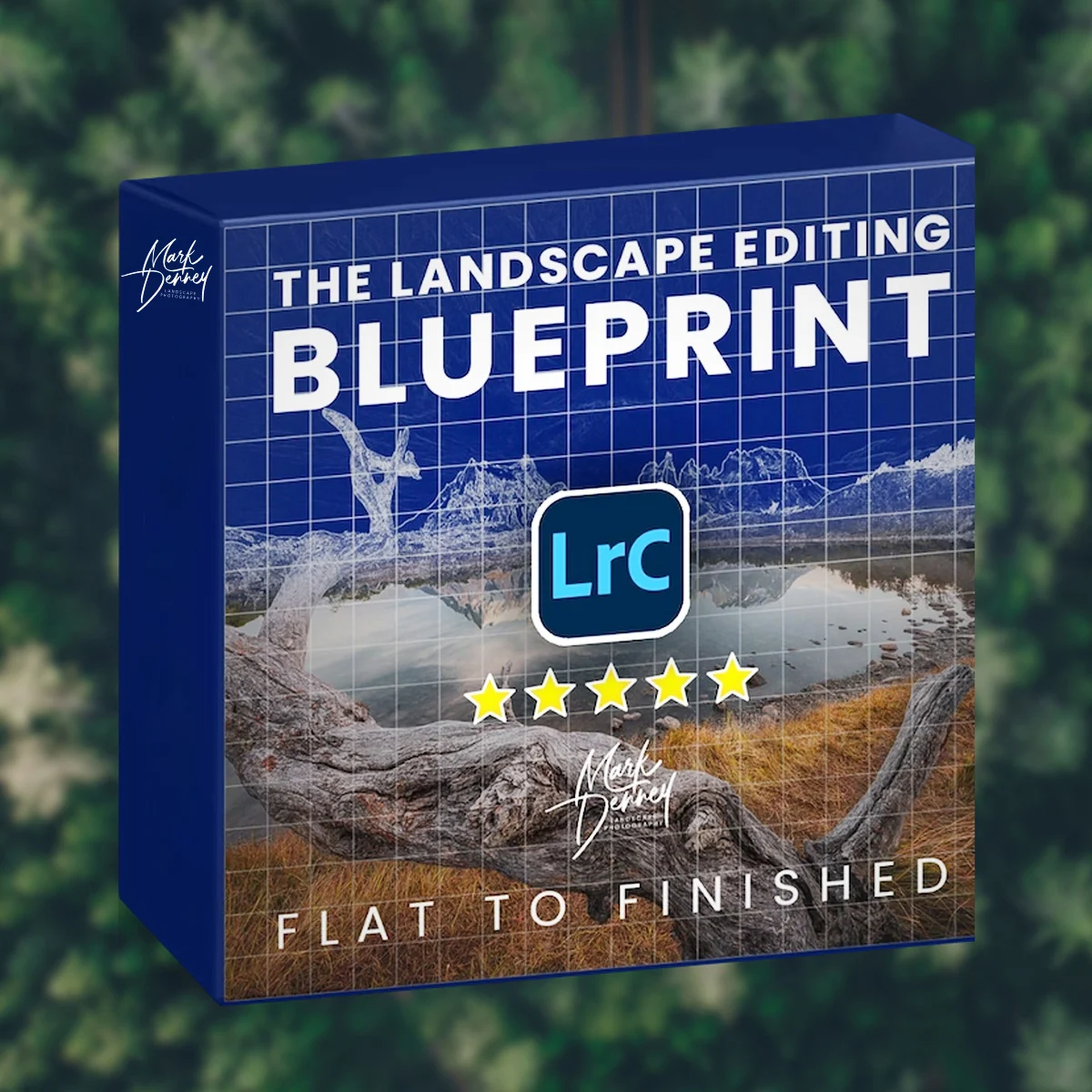 Mark Denney – The Landscape Editing Blueprint