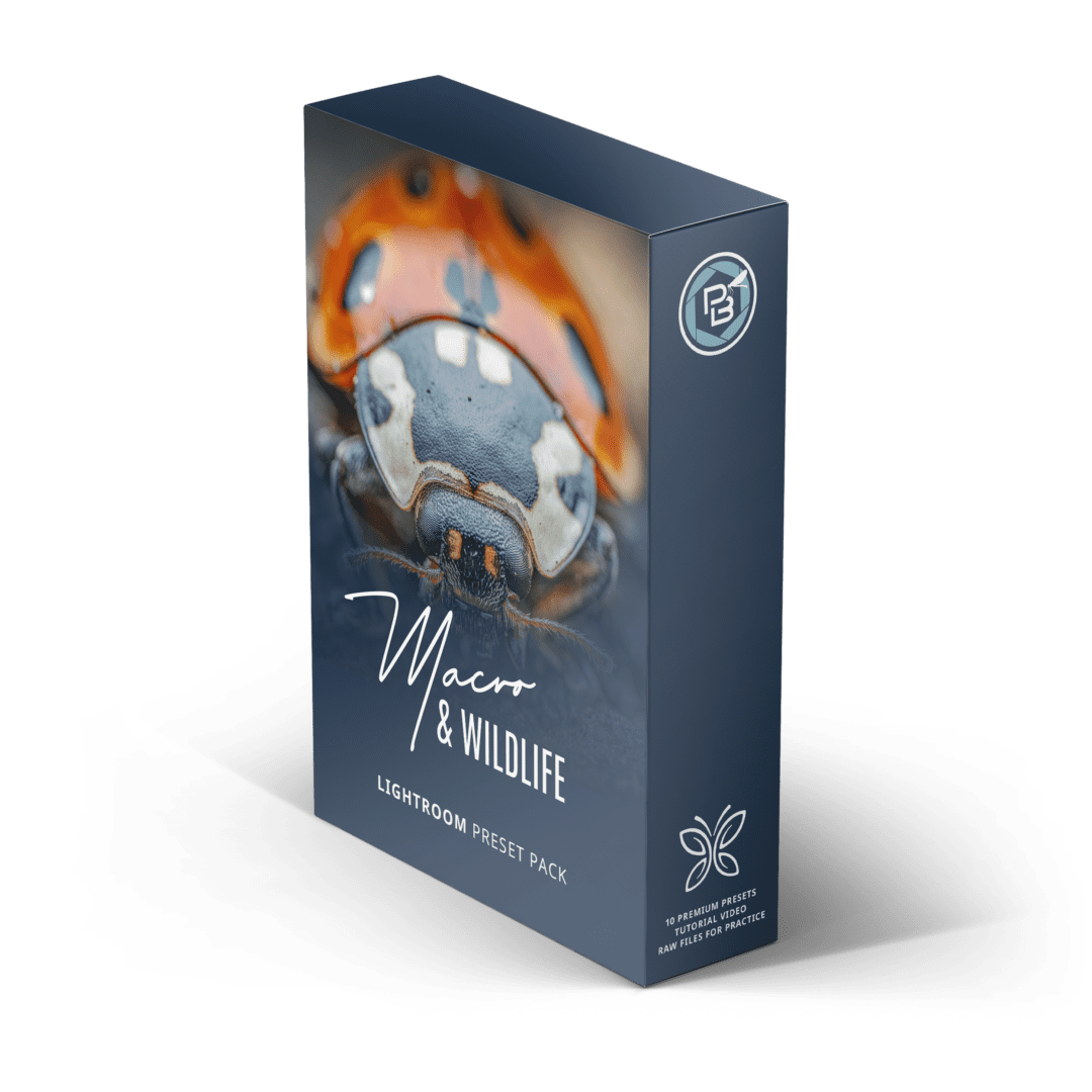 Paul Browning – Macro & Wildlife Lightroom Presets