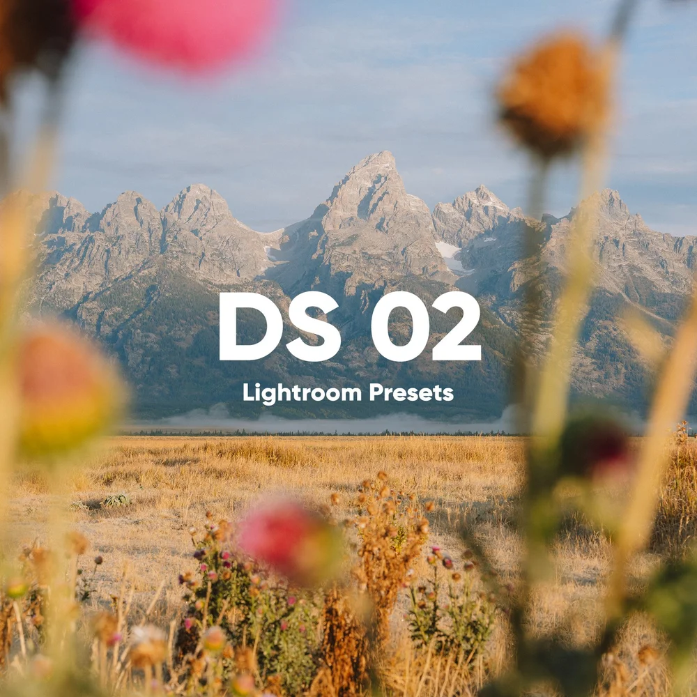 Dylan Spitz – DS PRESETS 02