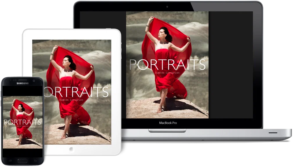 Damien Lovegrove – Portraits ebook