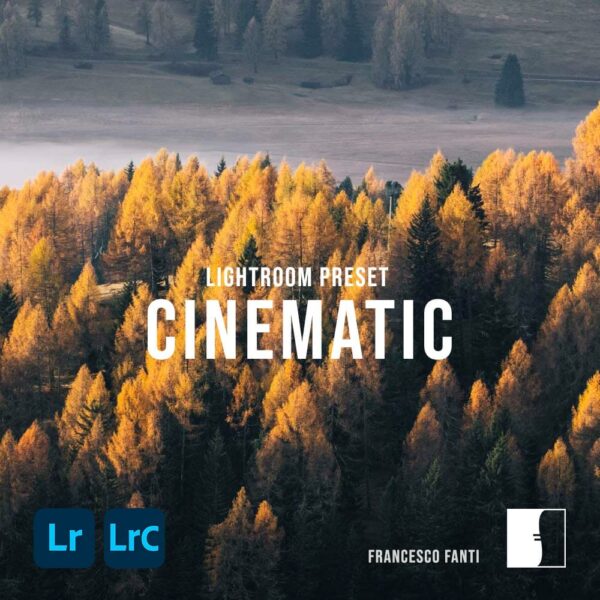 Francesco Fanti – Cinematic- Pacchetto Preset Lightroom