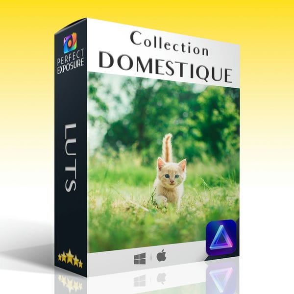 Perfect Exposure – 102 Luts Domestique Luminar