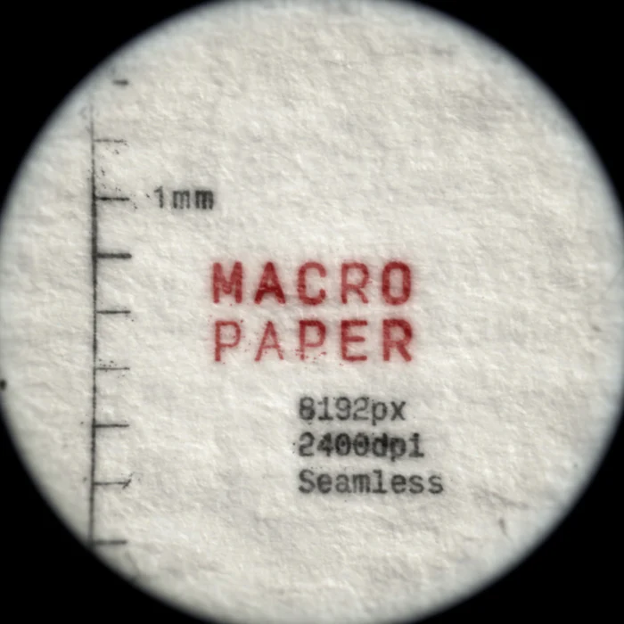 Bracken – Macro Paper