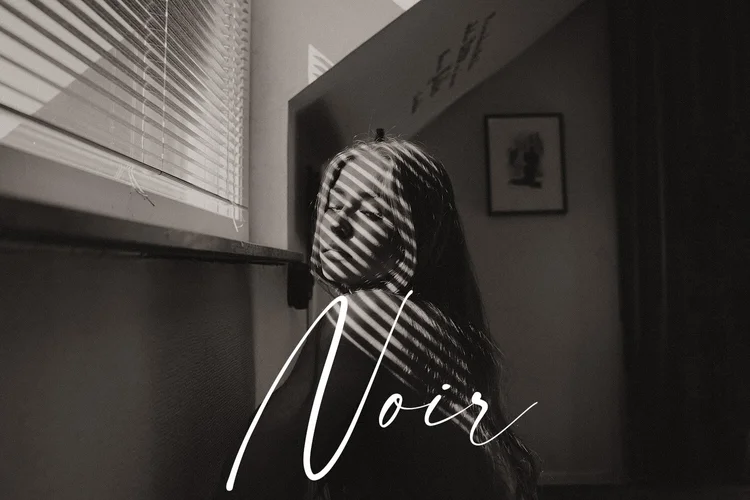 Kai Böttcher – Noir B&W Preset Pack