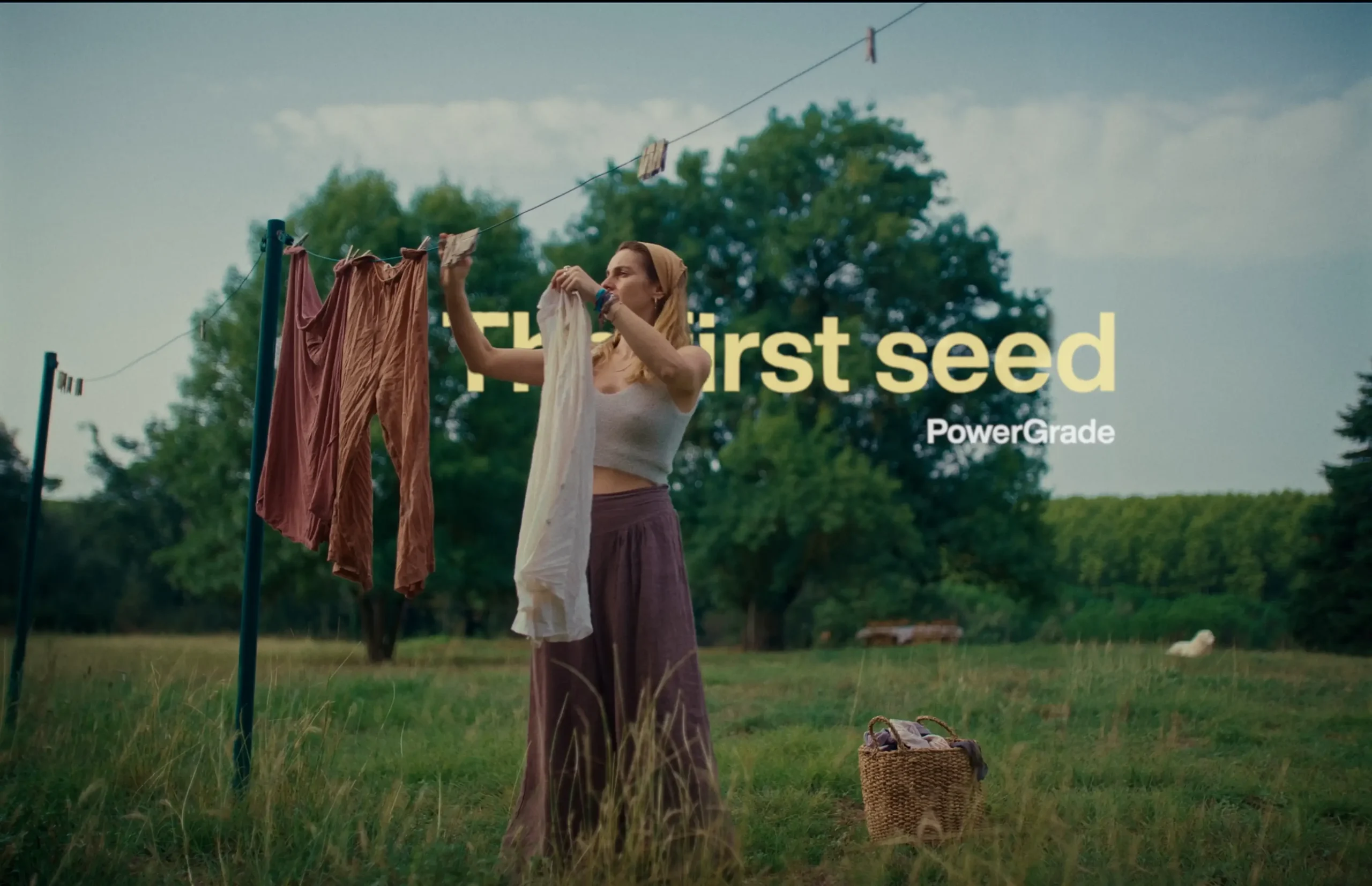 The dormant seed – The first seed PowerGrade