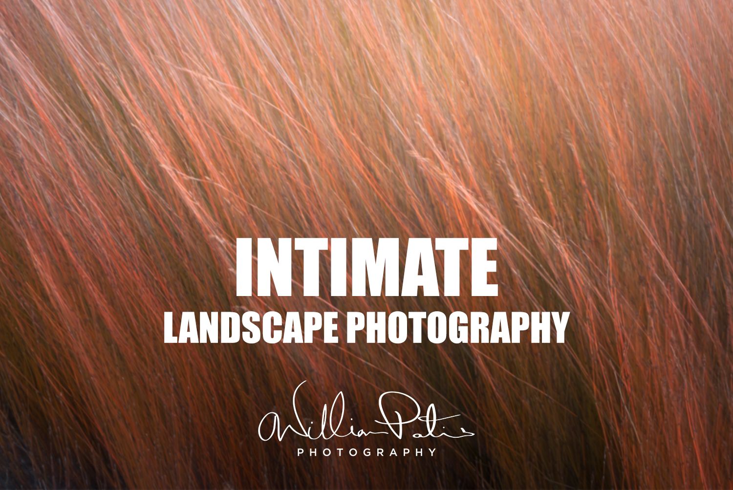 William Patino – Intimate Landscape Photography