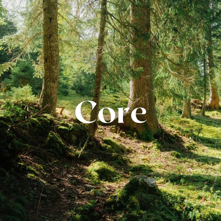 Adrien Sanguinetti – Core